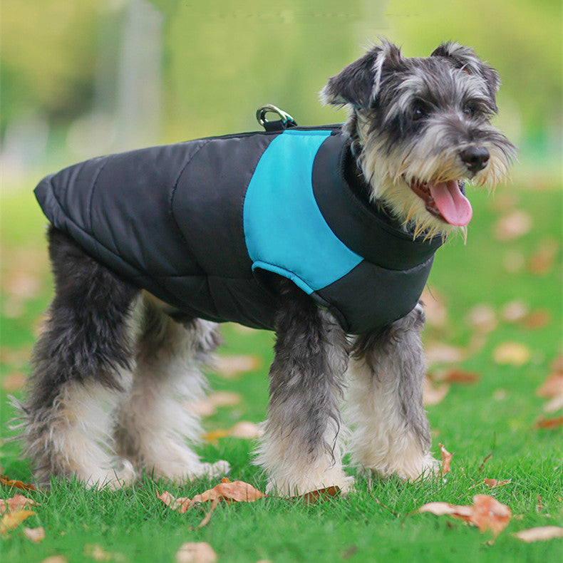 interwarme Hundekleidung – Dicke Pullover & Daunenjacken für kleine und große Hunde