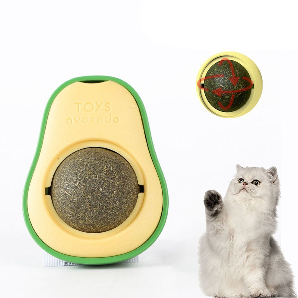 Avocado Katzenminze