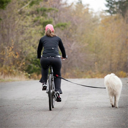 Abnehmbare Fahrrad-Hundeleine – Sicheres Geschirr für Hunde