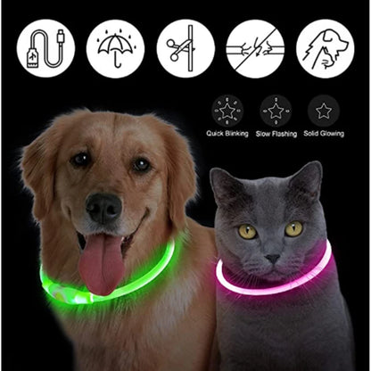 SB Wiederaufladbares LED-Halsband für Hunde und Katzen – Verstellbares Nachtlichthalsband für optimale Sicherheit