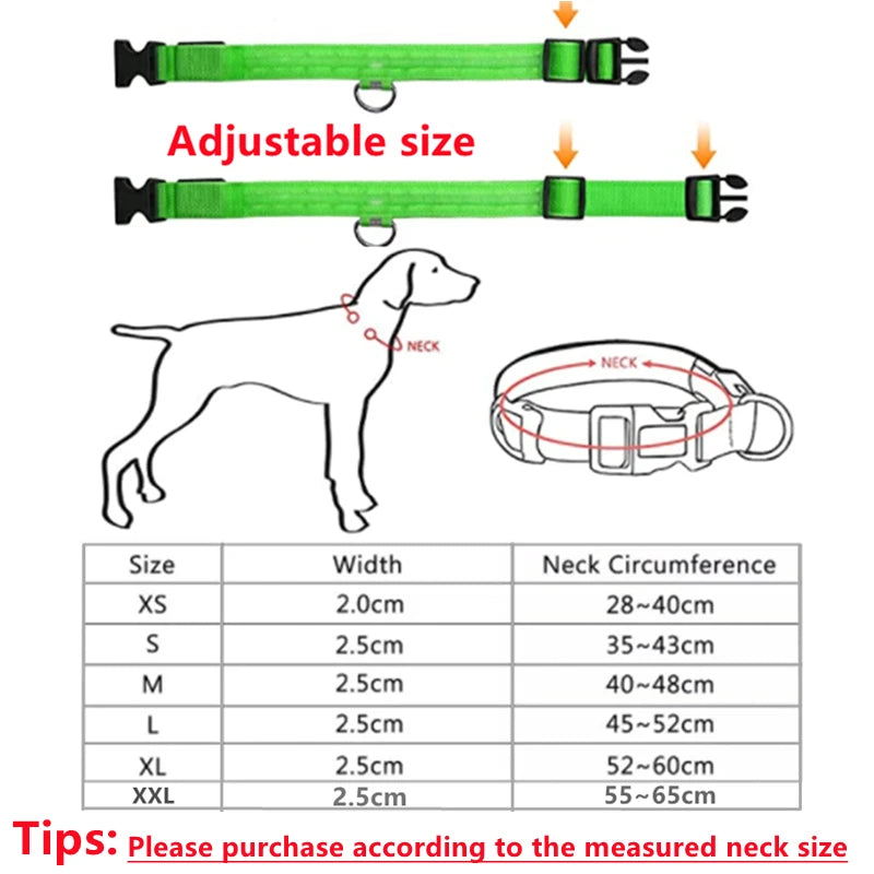 SB Wiederaufladbares LED-Halsband für Hunde und Katzen – Verstellbares Nachtlichthalsband für optimale Sicherheit