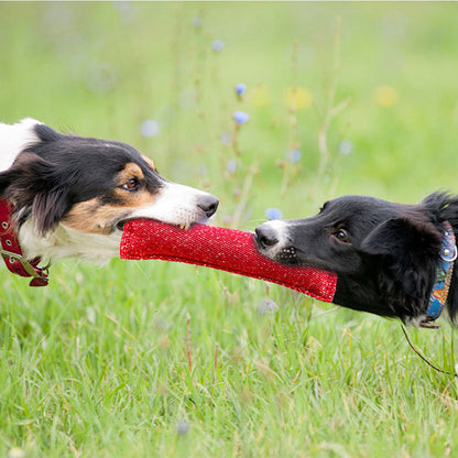 Langlebiger Hunde-Biss-Stick – Kreativer Kau-Stick zur Zahnreinigung für mittlere Rassen