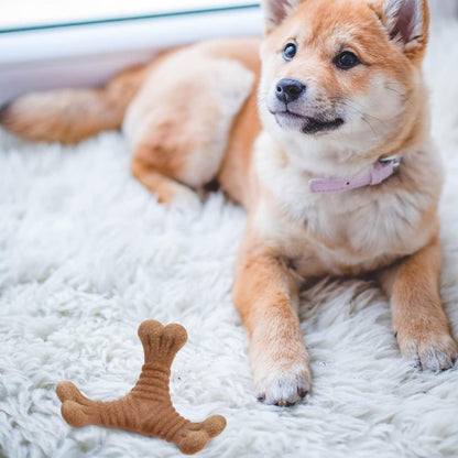 Zahnungsspielzeug für Welpen – Kau- und Puzzle-Spielzeug für Hunde & Katzen, Dentalpflege & Snacks in einem