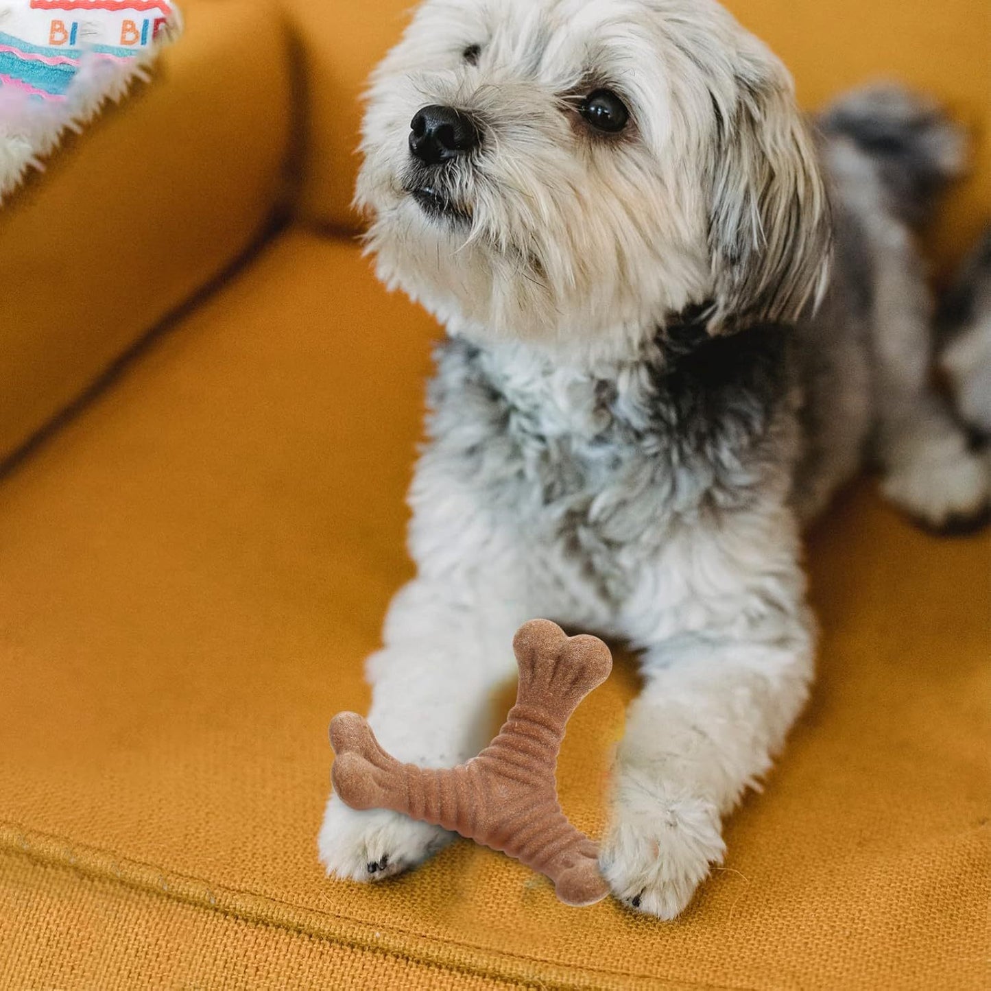 Zahnungsspielzeug für Welpen – Kau- und Puzzle-Spielzeug für Hunde & Katzen, Dentalpflege & Snacks in einem