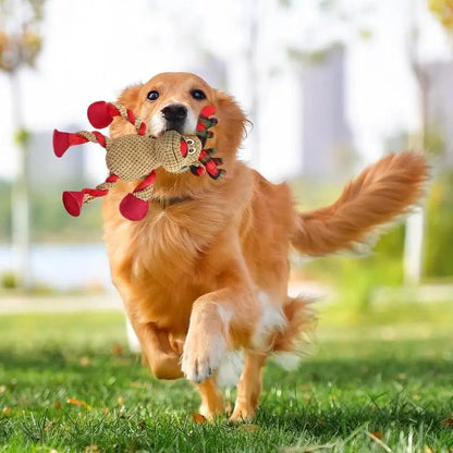 Interaktives Weihnachts-Hundespielzeug