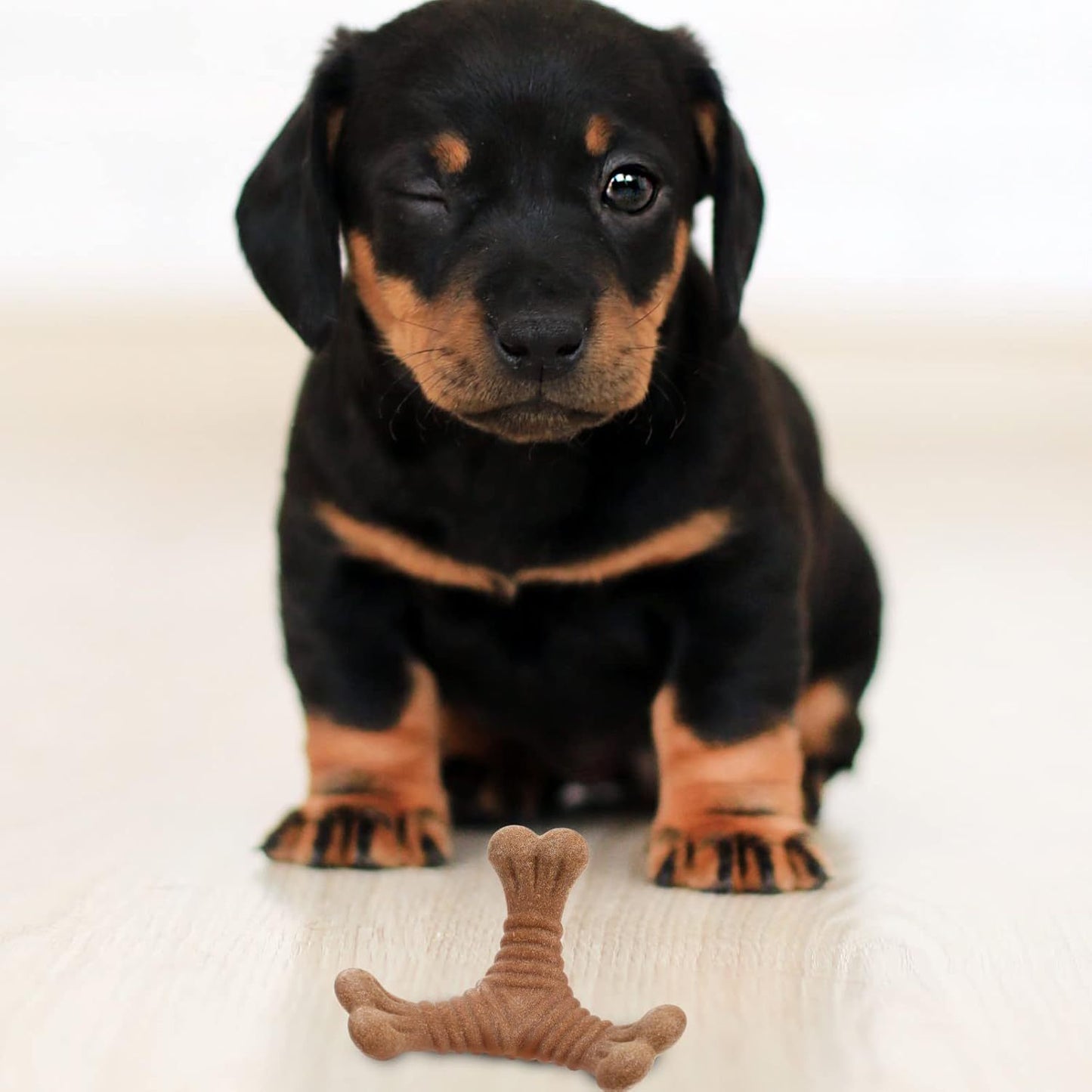 Zahnungsspielzeug für Welpen – Kau- und Puzzle-Spielzeug für Hunde & Katzen, Dentalpflege & Snacks in einem