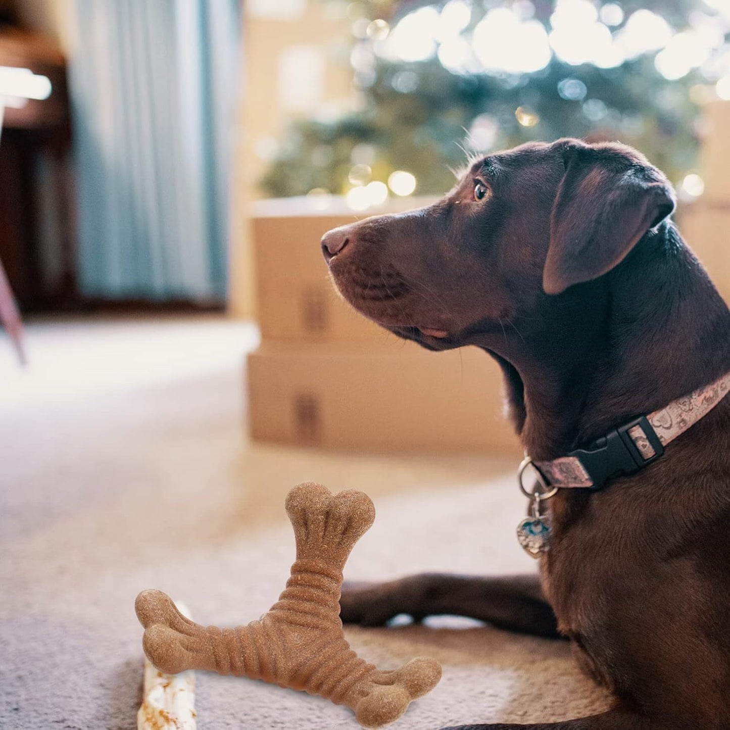 Zahnungsspielzeug für Welpen – Kau- und Puzzle-Spielzeug für Hunde & Katzen, Dentalpflege & Snacks in einem