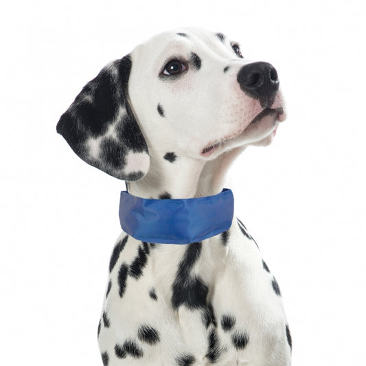 PROCYON Kühl-Bandana für Hunde: Effiziente Temperaturregulation für Ihren Hund!