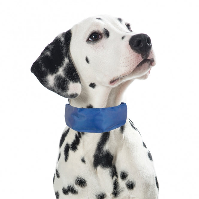 PROCYON Kühl-Bandana für Hunde: Effektive Temperaturregulation für Ihren Hund!